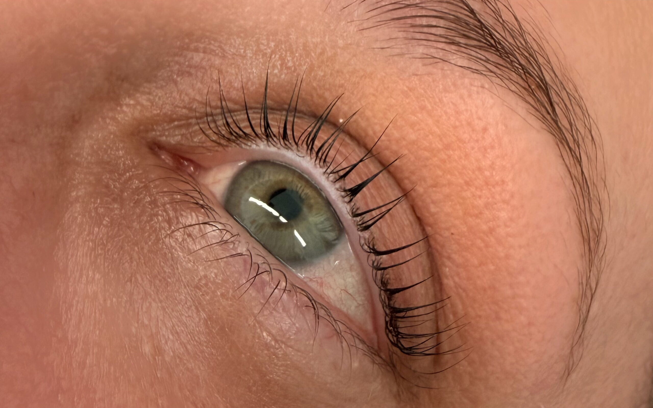 lash lift liverpool