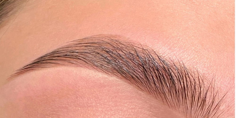 shape and tint eyebrow
